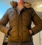 HV Polo Winterjas Maat M - Dons & Nepbont, Dieren en Toebehoren, Paardrijkleding, Ophalen of Verzenden, Zo goed als nieuw, Dames