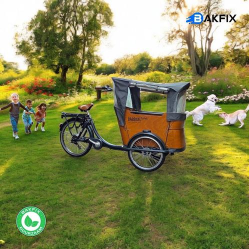 2dehands Babboe Curve-e met certificaat en toebehoren, Fietsen en Brommers, Fietsen | Bakfietsen, Zo goed als nieuw, 4 kinderen of meer