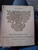 Bloemlezing Nederlandse Letteren - Rijpma, Ophalen of Verzenden, Gelezen, Dr. E. Rijpma, Nederland