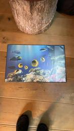 Vis bureau blad, Ophalen of Verzenden, Zo goed als nieuw, Elektrisch, Overige merken