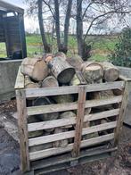 kuub blokken essenhout stammen openhaardhout, Tuin en Terras, Haardhout, Ophalen of Verzenden