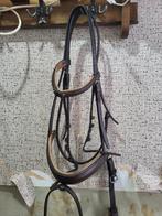 Hoofdstel, Ophalen of Verzenden, Dressuur