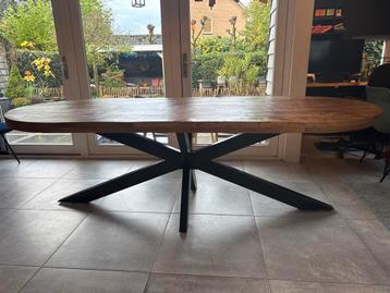 Grote ovale mangohouten eettafel Gigameubel (8 pers) beschikbaar voor biedingen