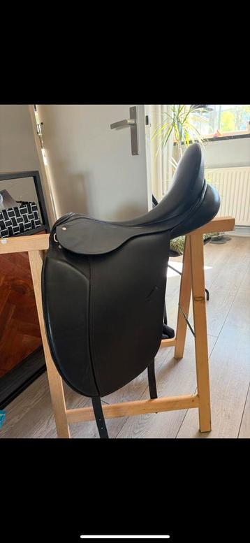 early bird dressuur zadel beschikbaar voor biedingen