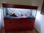 Complete super Aquarium hobby iets wat niemand heeft, Dieren en Toebehoren, Vissen | Aquaria en Toebehoren, Ophalen