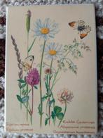 Vilbo Cards Villeroy & Boch, Antiek en Kunst, Antiek | Porselein, Ophalen of Verzenden