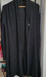 Lien en giel vest maat S M, Kleding | Dames, Ophalen of Verzenden, Zo goed als nieuw, Maat 38/40 (M)