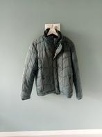 Vanguard winterjas, Maat 48/50 (M), Ophalen of Verzenden, Zo goed als nieuw, Vanguard