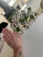 Ornamenten, Slak of Weekdier