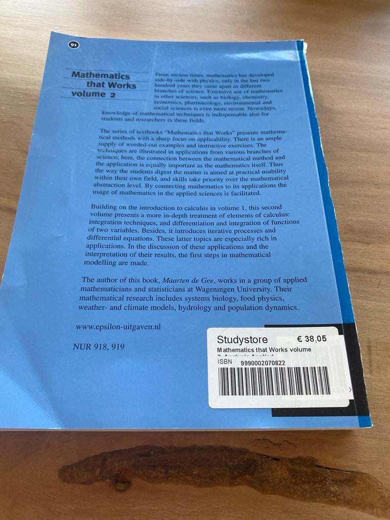 Mathematics that Works, Volume 2 - Maarten de Gee, Boeken, Techniek, Gelezen, Overige onderwerpen, Ophalen of Verzenden