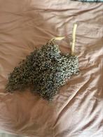 Gedroogde dadeltakken, Huis en Inrichting, Ophalen of Verzenden, Zo goed als nieuw