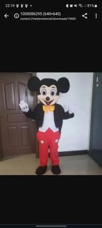 Mickey mouse mascotte voor al uw feestjes, Ophalen
