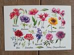 VELDBLOEMEN  meerdere beschikbaar POSTCROSSING, Verzamelen, Ophalen