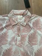 Goedkope nieuwe heren polo, Ophalen of Verzenden, Nieuw, Maat 56/58 (XL)