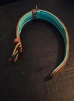 Dwam halsband maat S, Dieren en Toebehoren, Ophalen of Verzenden, Zo goed als nieuw