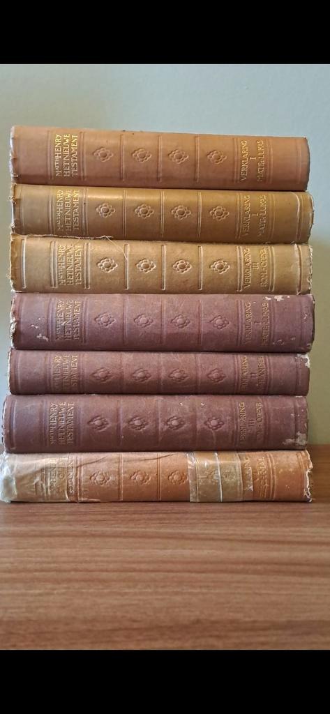 Bijbelverklaring Matthew Henry, Boeken, Godsdienst en Theologie, Gelezen, Ophalen