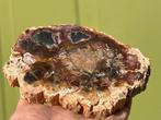 Versteend hout schijf plak dubbel gepolijst mineralen 3, Ophalen of Verzenden, Mineraal
