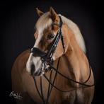HB Showtime Zwart Lak Stang en Trens Hoofdstel Full Zwart, Ophalen of Verzenden, Zo goed als nieuw, Dressuur