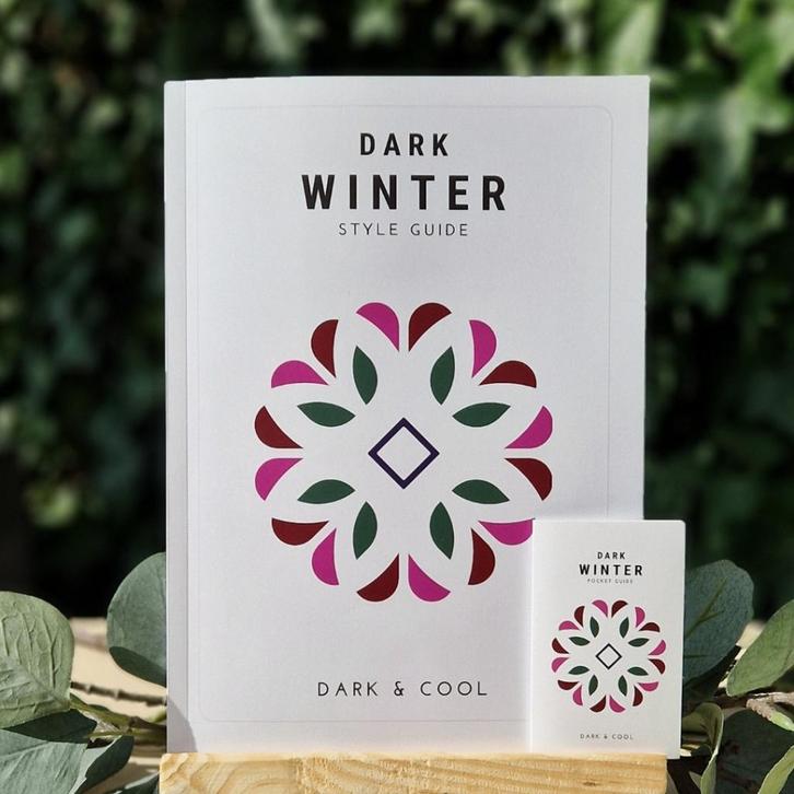 Dark Winter Donker Wintertype Style Guide + Pocket Guide, Kleding | Dames, Overige Dameskleding, Nieuw, Verzenden