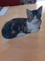Dikke (3mm) kartonnen standaard poes Henriëtte Ronner-Knip, Verzenden, Nieuw