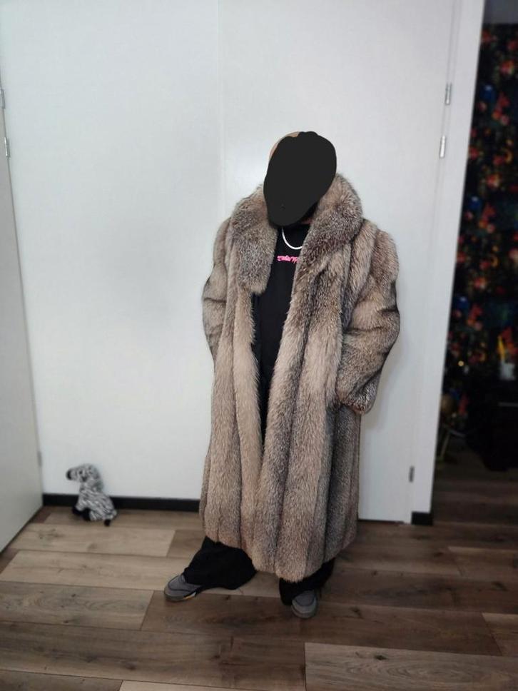 Bontjas echtbont, Kleding | Heren, Jassen | Winter, Nieuw, Maat 56/58 (XL), Bruin, Ophalen of Verzenden
