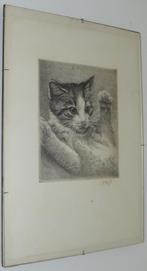 PRIJSVERLAGING! Originele Ets van jonge kat inclusief lijst, Antiek en Kunst, Ophalen of Verzenden