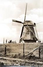 (F259) Ansichtkaart Nes Ameland molen Phenix 1959, Verzenden, 1940 tot 1960, Ongelopen, Friesland
