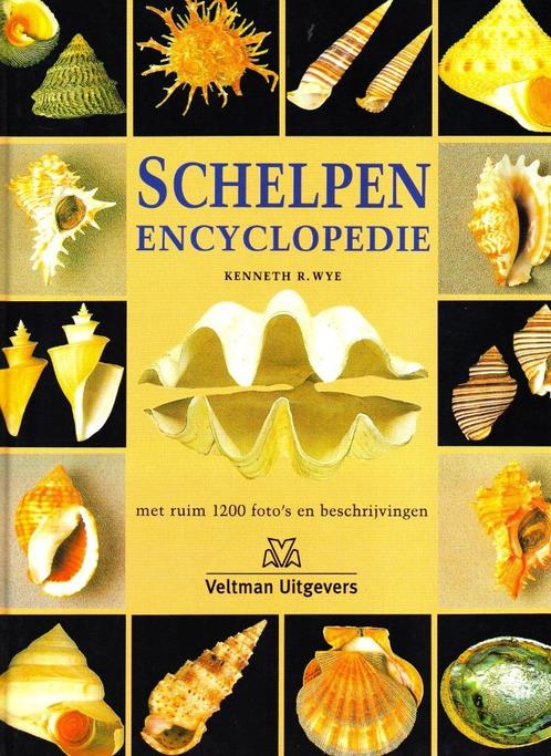 Schelpen Encyclopedie - Kenneth R. Wye / 9789059200494, Boeken, Natuur, Zo goed als nieuw, Ophalen of Verzenden