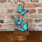 stolp met morpho vlinders, Ophalen, Nieuw