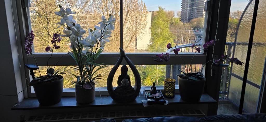 3x Kunst Orchideeën – Altijd in bloei  (setprijs), Ophalen