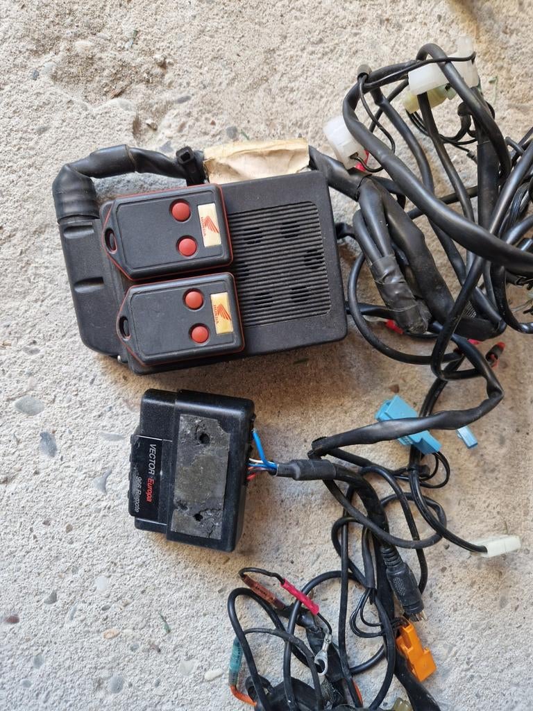 Vector Europa 966 remote en alarm systeem, Ophalen of Verzenden