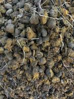 Verse paardenmest voor uw tuin of moestuin, Tuin en Terras, Aarde en Mest, Ophalen, Mest