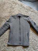 DENHAM JASJE, MT M, GRIJS, Ophalen of Verzenden, Zo goed als nieuw, Maat 52/54 (L), Grijs