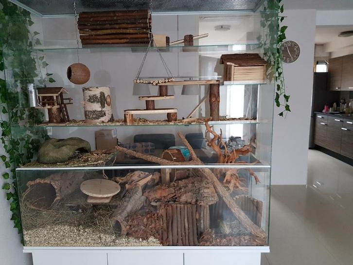 Terrarium voor knaagdieren met witte profielen, Dieren en Toebehoren, Knaagdieren en Konijnen | Hokken en Kooien, Nieuw, Hok, Minder dan 60 cm