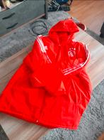 Ajax jas 2021-2022, Ophalen of Verzenden, Gedragen, Rood, Adidas