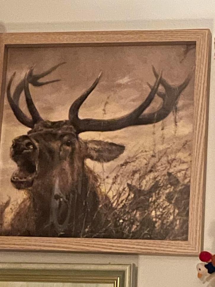 prent Burlend Hert van Rien Poortvliet, Antiek en Kunst, Kunst | Schilderijen | Klassiek, Ophalen of Verzenden