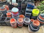 Gratis af te halen: diverse maten kweekpotten, Ophalen, Gebruikt, Kweekbak