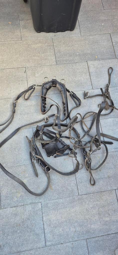 Pony tuig, Dieren en Toebehoren, Ophalen of Verzenden