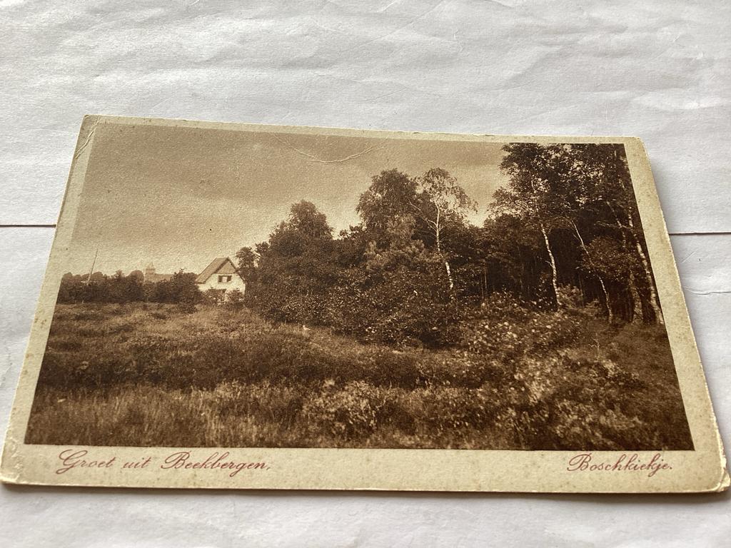 Oude ansichtkaart Groet uit Beekbergen Boschkickje, Ophalen of Verzenden, Voor 1920, Ongelopen, Gelderland