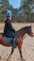 Lieve merrie zoekt een huisje voor veel buitenritten, Dieren en Toebehoren, Paarden, Merrie, Met stamboom, B, 7 tot 10 jaar