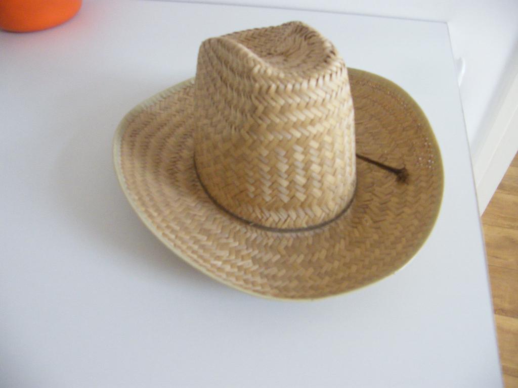 rodeohoed, Ophalen of Verzenden, Zo goed als nieuw, One size fits all, Hoed