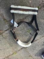 Halster pony en menhoofstel Shet, Ophalen, Nieuw, Overige soorten