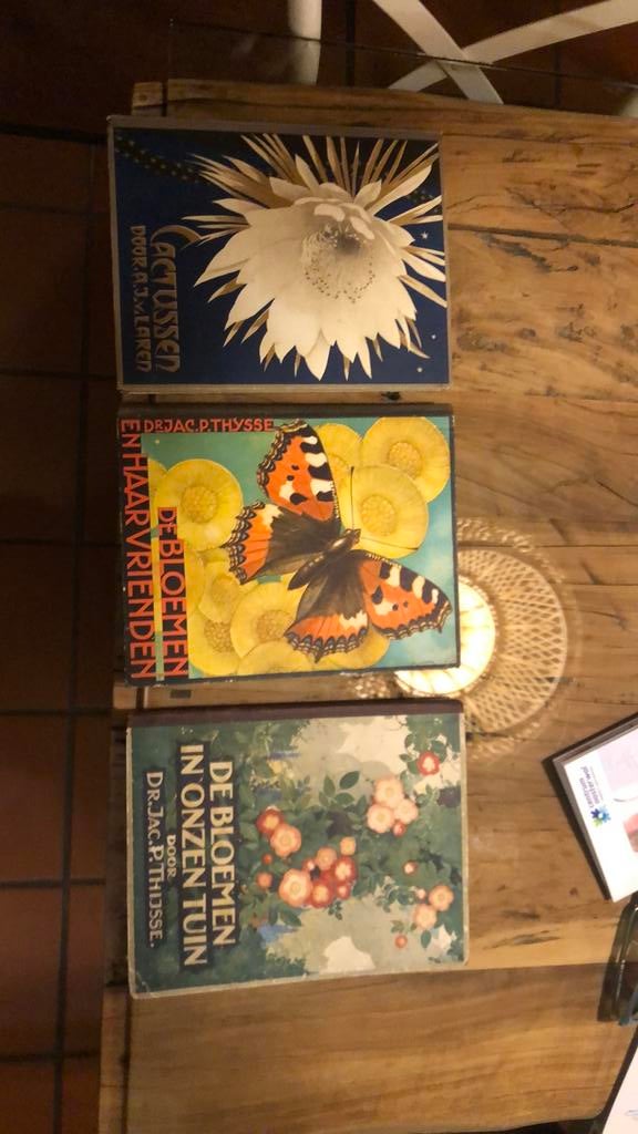 Jac p Thijsse en cactussen bloemen en tuin, Boeken, Prentenboeken en Plaatjesalbums, Ophalen of Verzenden, Zo goed als nieuw