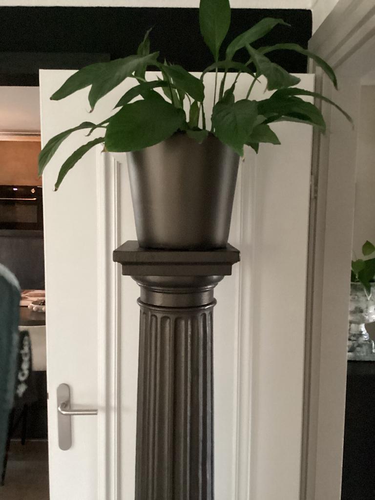 Plantenzuil met pot, Ophalen, Zo goed als nieuw