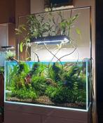 ADA Solar Stand 90, Dieren en Toebehoren, Vissen | Aquaria en Toebehoren, Ophalen, Gebruikt, Verlichting of Verwarming