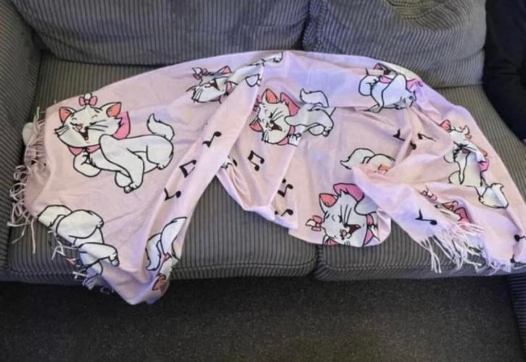 Mooie Roze Disney sjaal poes Marie Aristokatten Aristocats, Ophalen of Verzenden, Overige figuren, Zo goed als nieuw, Knuffel