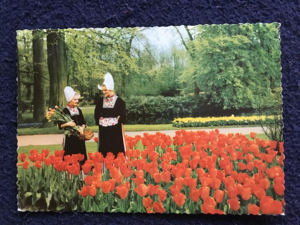 Vintage Ansichtkaart Keukenhof Tulpen klederdracht, Ophalen of Verzenden, 1960 tot 1980, Gelopen, Friesland