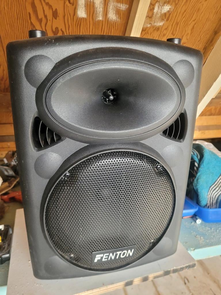 Fenton FPS10 Draagbare PA Speaker met Media Player, Gebruikt, Overige typen, 60 tot 120 watt, Ophalen