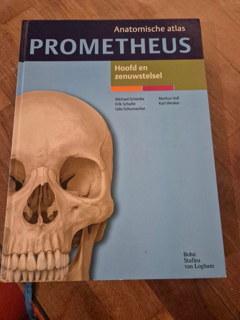 Anatomische atlas prometheus - Hoofd en zenuwstelsel, Ophalen of Verzenden, Zo goed als nieuw, Udo Schumacher; M. Schünke; E. Schulte