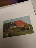 MOOI FRIESLAND.  KOP- HALS ROMPBOERDERIJ, Ophalen of Verzenden, 1940 tot 1960, Friesland